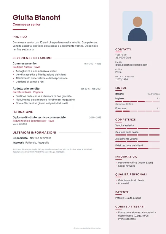 Esempio di curriculum con il modello Professionale